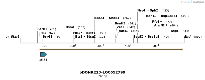 29213_map