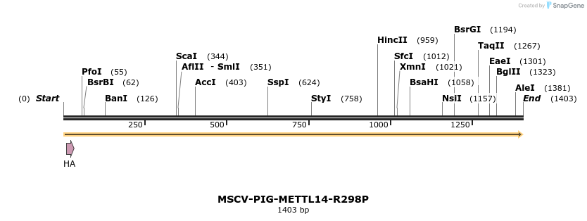 292137_map