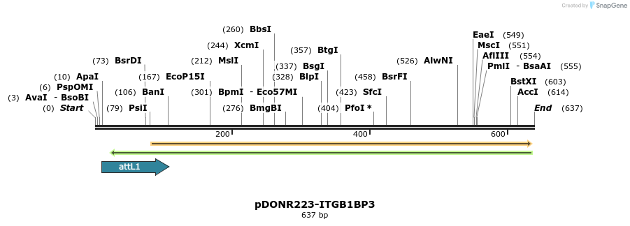 29214_map