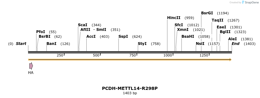 292142_map