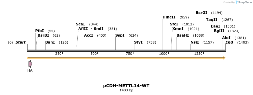 292143_map
