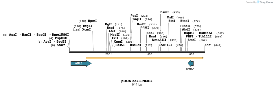 29215_map