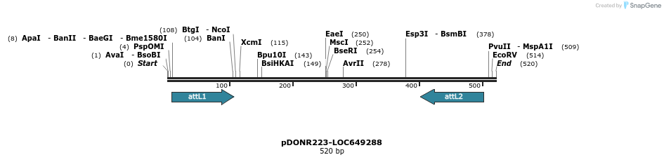 29216_map