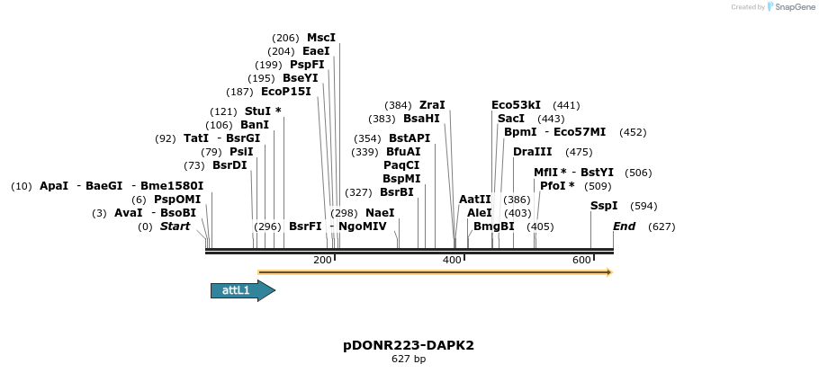 29217_map