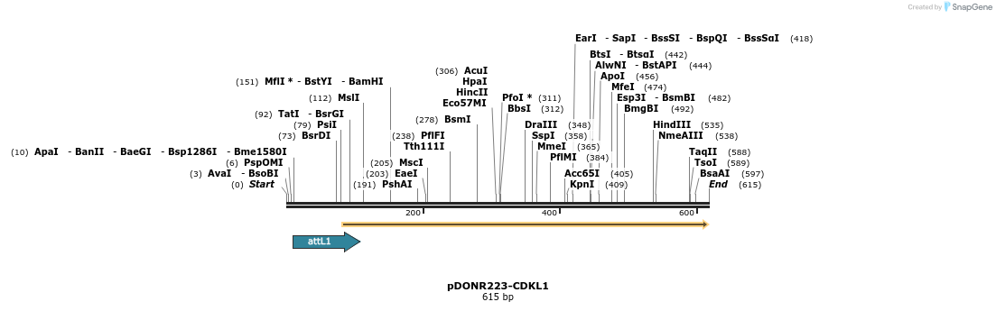 29218_map