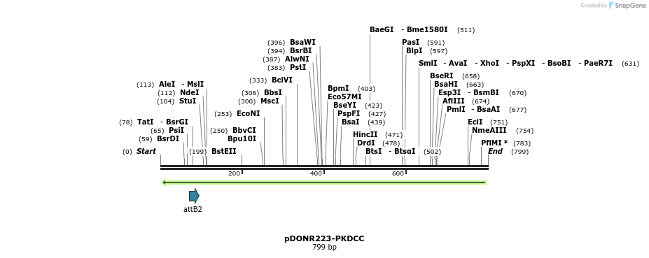 29220_map