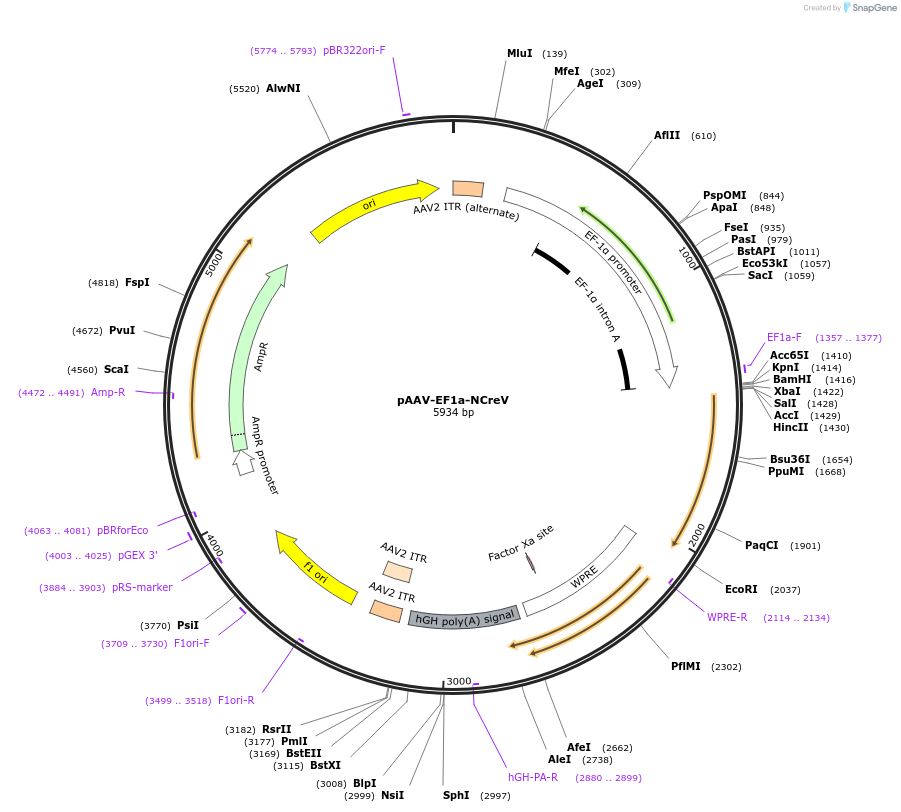 292202_map