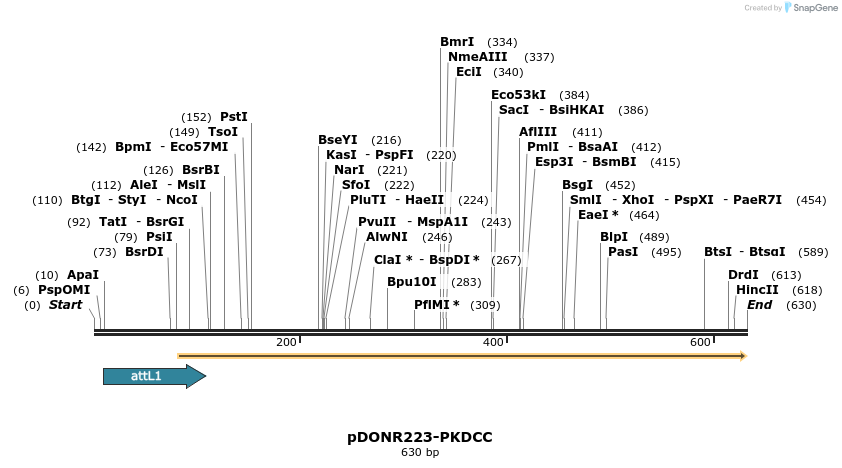 29221_map