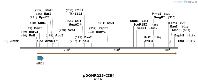 29222_map