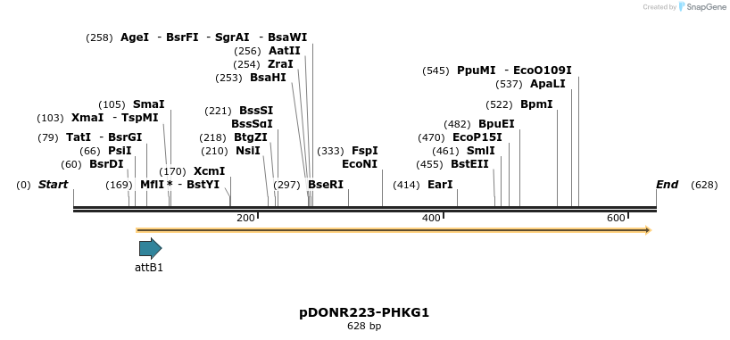 29223_map