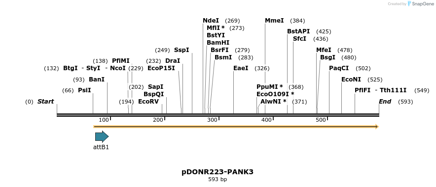 29224_map