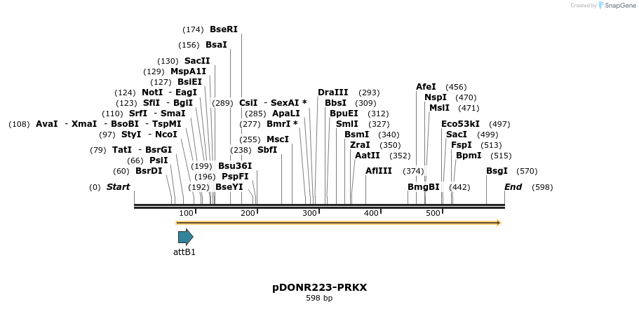 29225_map