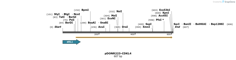29226_map