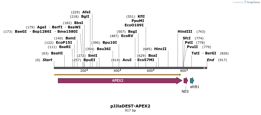 292262_map