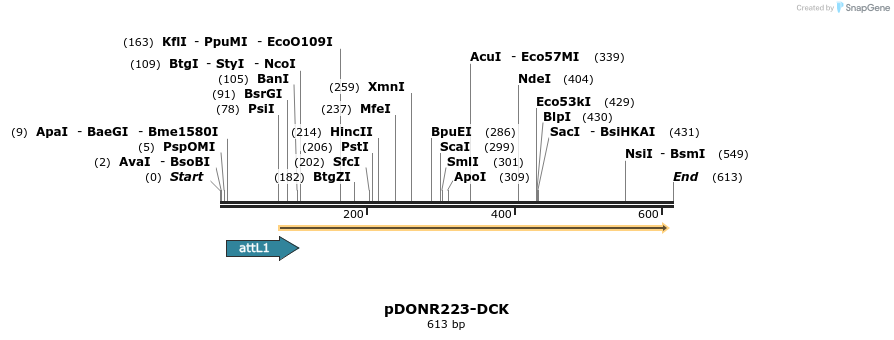 29227_map