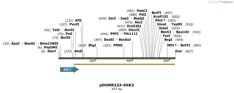 29230_map
