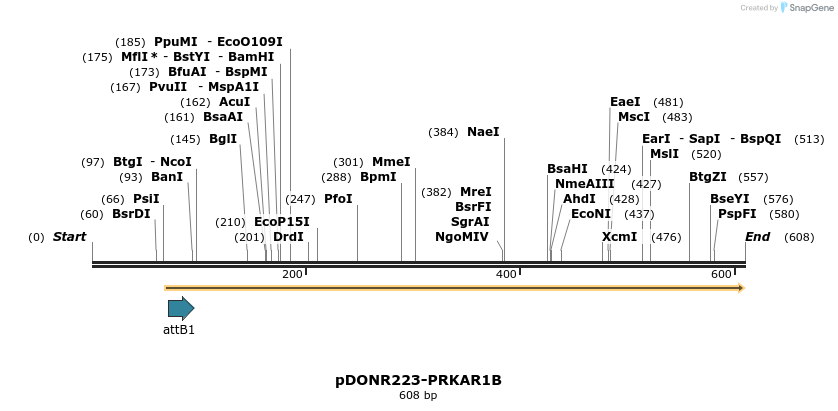 29232_map