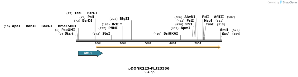 29233_map