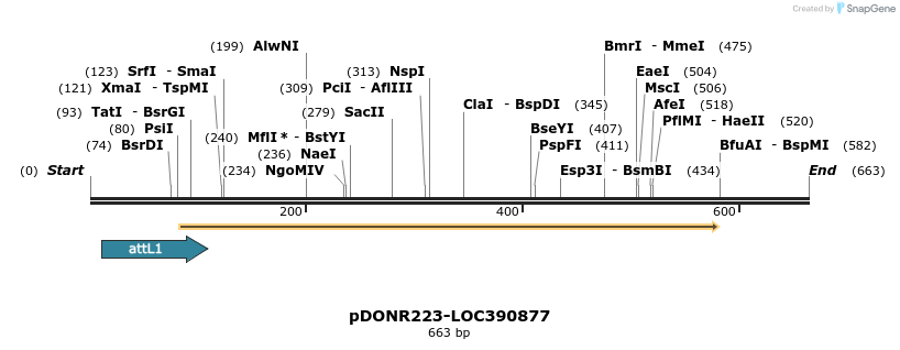 29235_map