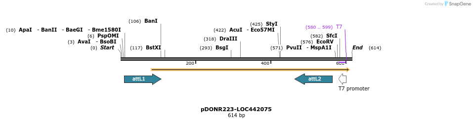 29236_map