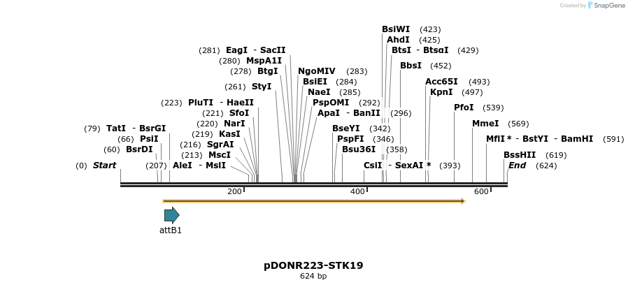 29238_map