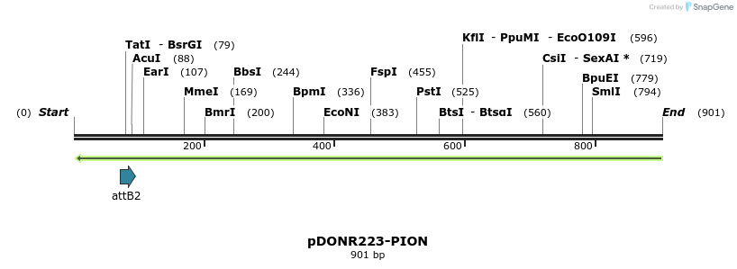 29239_map