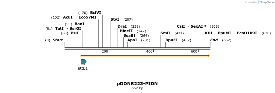 29240_map