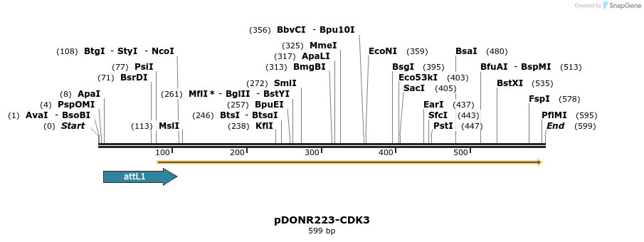 29241_map