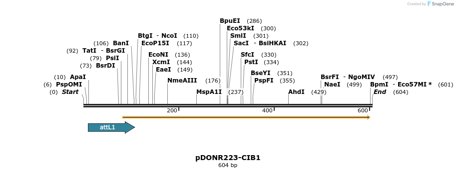 29245_map