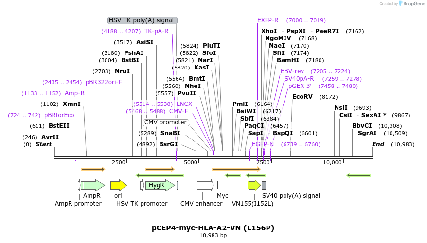 292464_map