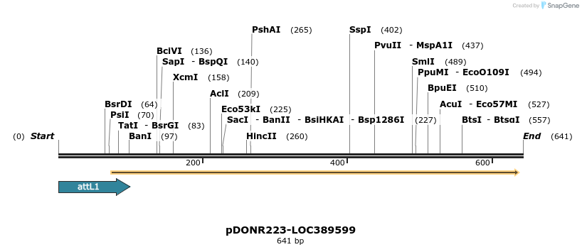 29248_map