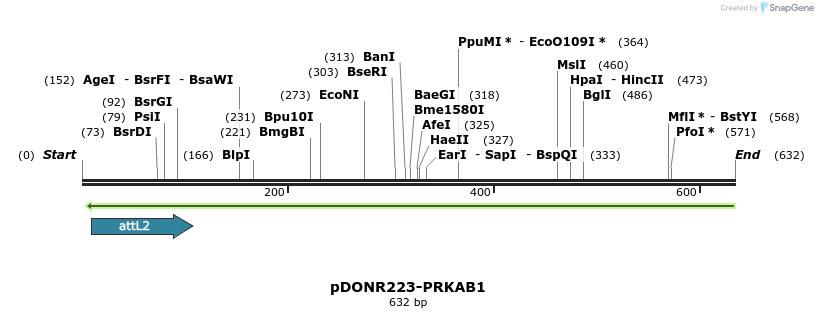 29249_map
