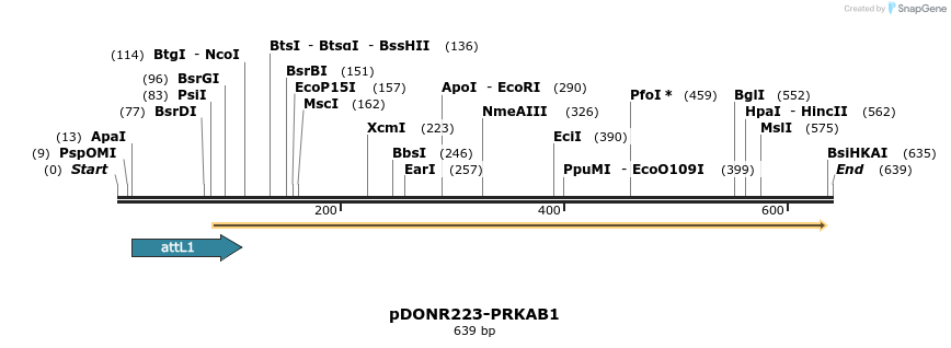 29250_map