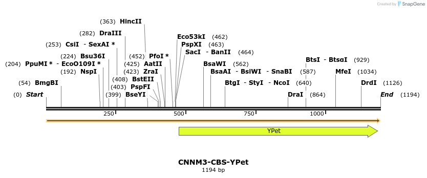 292501_map