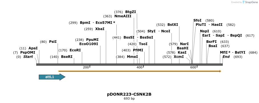 29251_map