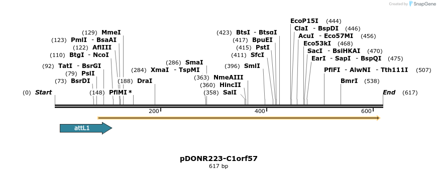 29252_map