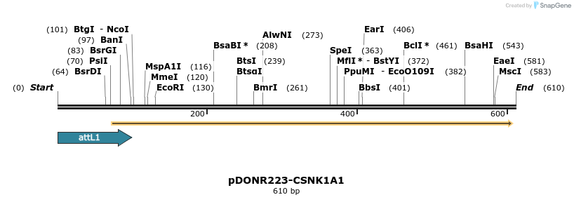 29255_map