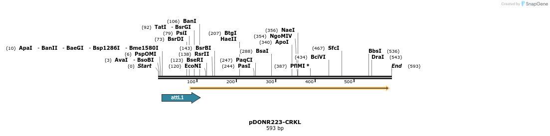 29256_map