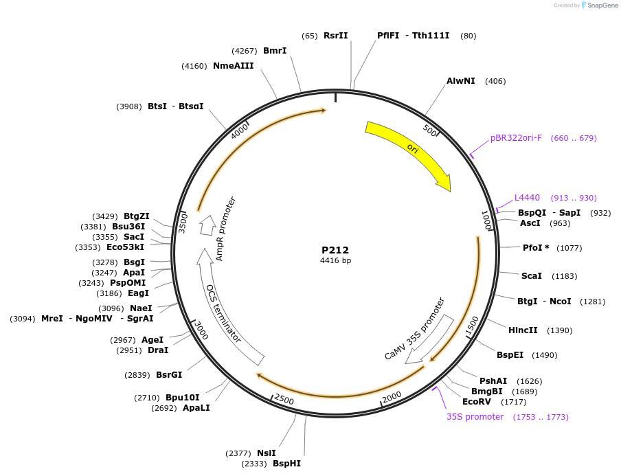 292602_map
