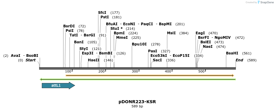29261_map