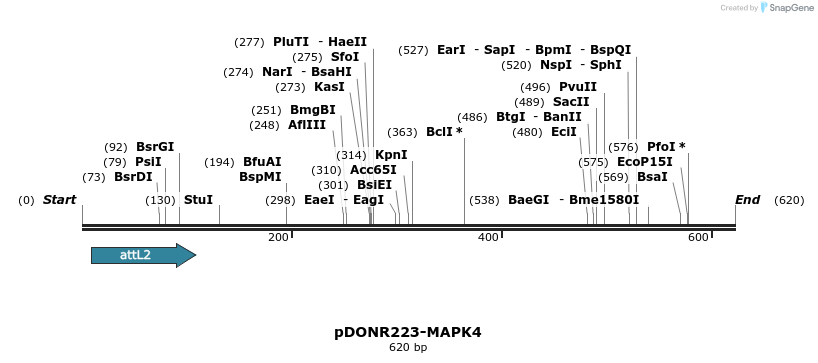 29263_map