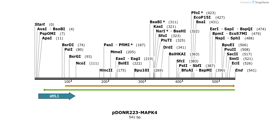 29264_map