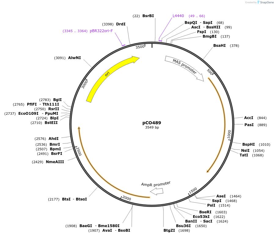 292647_map