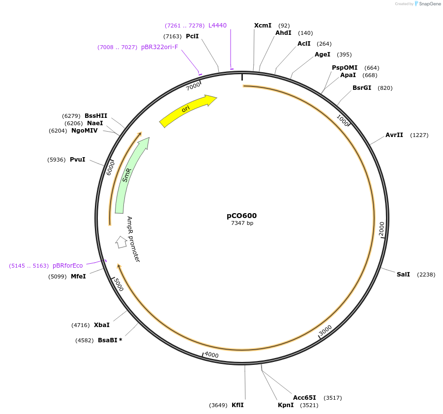 292649_map