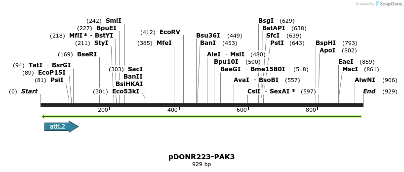 29266_map