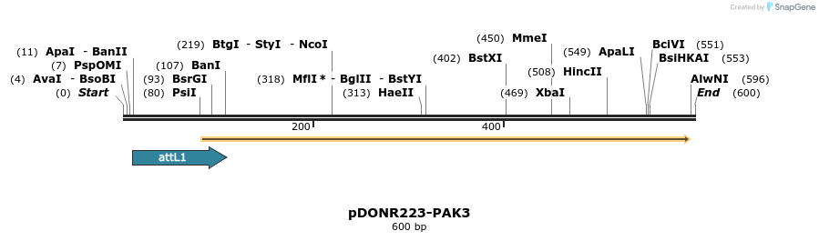 29267_map
