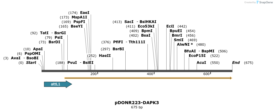29268_map