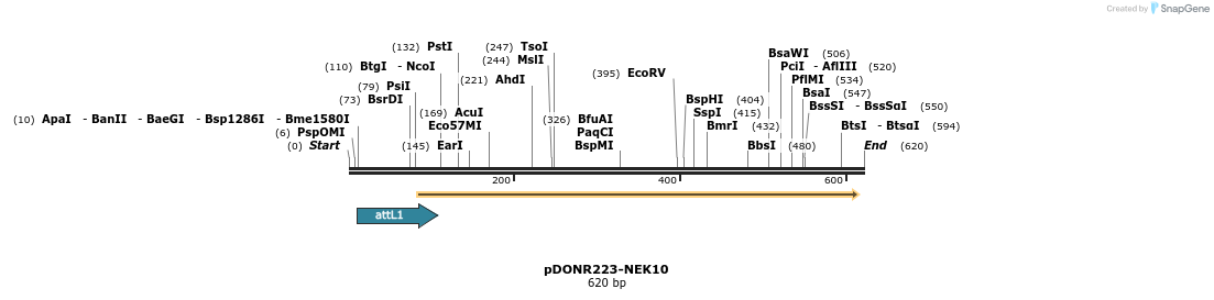 29269_map