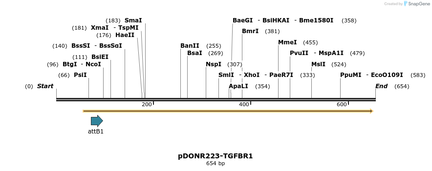 29270_map