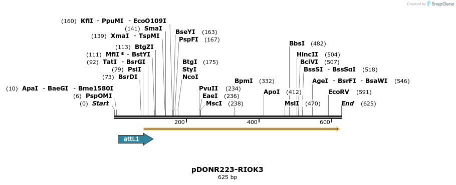 29271_map